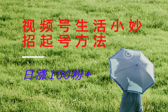 视频号生活小妙招分享赛道, 起号涨粉新方法,日涨100粉插图 视频号生活小妙招分享赛道, 起号涨粉新方法,日涨100粉插图