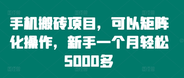 手机搬砖项目,可以矩阵化操作,新手一个月轻松5000多插图 手机搬砖项目,可以矩阵化操作,新手一个月轻松5000多