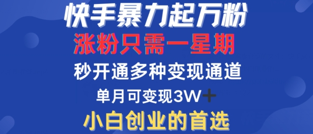 快手暴力起万粉,涨粉只需一星期,多种变现模式,直接秒开万合,单月变现过W【揭秘】插图 快手暴力起万粉,涨粉只需一星期,多种变现模式,直接秒开万合,单月变现过W【揭秘】