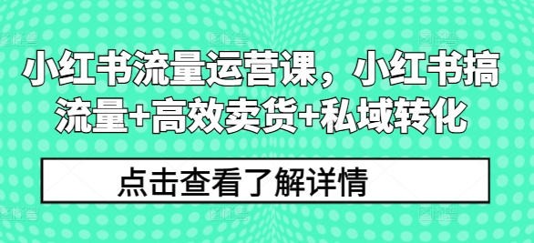 小红书流量运营课,小红书搞流量+高效卖货+私域转化插图 小红书流量运营课,小红书搞流量+高效卖货+私域转化