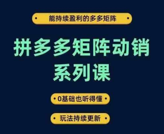 拼多多矩阵动销系列课,能持续盈利的多多矩阵,0基础也听得懂,玩法持续更新插图 拼多多矩阵动销系列课,能持续盈利的多多矩阵,0基础也听得懂,玩法持续更新