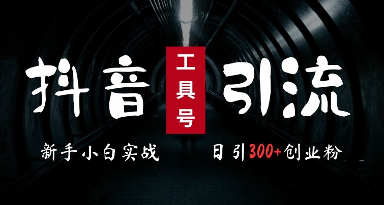 2024最新抖音工具号引流玩法,高效日引300+创业粉,当天变现5k,小白也可成为实战高手插图 2024最新抖音工具号引流玩法,高效日引300+创业粉,当天变现5k,小白也可成为实战高手