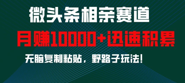 微头条相亲赛道,迅速积累,无脑复制粘贴,野路子玩法,月入1w插图 微头条相亲赛道,迅速积累,无脑复制粘贴,野路子玩法,月入1w