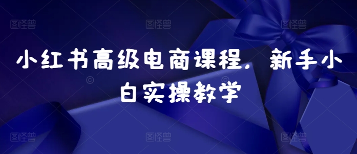 小红书高级电商课程,新手小白实操教学插图 小红书高级电商课程,新手小白实操教学