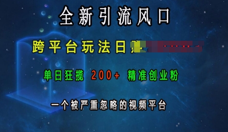 全新引流风口,跨平台玩法日入上k,单日狂揽200+精准创业粉,一个被严重忽略的视频平台插图 全新引流风口,跨平台玩法日入上k,单日狂揽200+精准创业粉,一个被严重忽略的视频平台