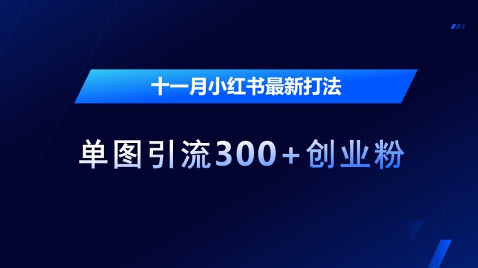 十一月小红书最新打法,单图引流300+创业粉【揭秘】插图 十一月小红书最新打法,单图引流300+创业粉【揭秘】