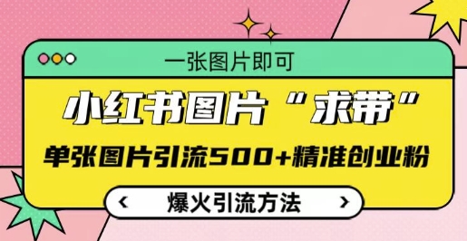 小红书图片‘求带’爆火引流法,单张图片引流500+精准创业粉【揭秘】插图 小红书图片‘求带’爆火引流法,单张图片引流500+精准创业粉【揭秘】