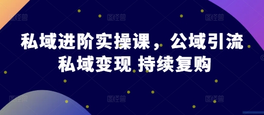 私域进阶实操课,公域引流 私域变现 持续复购插图 私域进阶实操课,公域引流 私域变现 持续复购