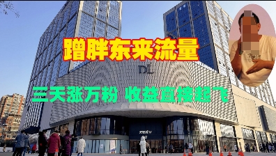 蹭胖东来流量,三天涨万粉,收益直接起飞插图 蹭胖东来流量,三天涨万粉,收益直接起飞
