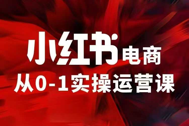小红书电商运营,97节小红书vip内部课,带你实现小红书赚钱插图 小红书电商运营,97节小红书vip内部课,带你实现小红书赚钱