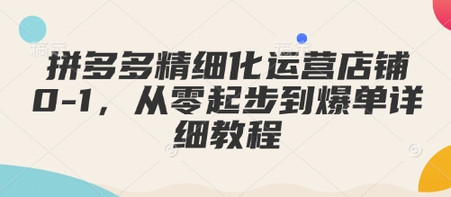拼多多精细化运营店铺0-1,从零起步到爆单详细教程插图 拼多多精细化运营店铺0-1,从零起步到爆单详细教程