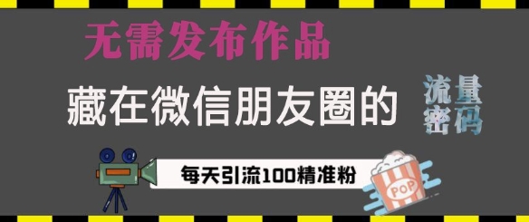 藏在微信朋友圈的流量密码,无需发布作品,单日引流100+精准创业粉【揭秘】插图 藏在微信朋友圈的流量密码,无需发布作品,单日引流100+精准创业粉【揭秘】