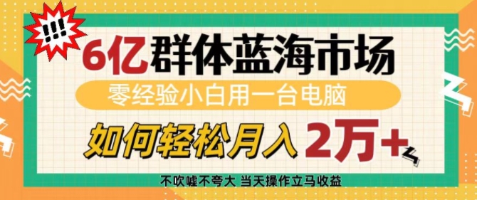 6亿群体蓝海市场,零经验小白用一台电脑,如何轻松月入过w【揭秘】插图 6亿群体蓝海市场,零经验小白用一台电脑,如何轻松月入过w【揭秘】