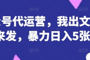 公众号代运营，我出文章你来发，暴力日入5张+【揭秘】