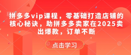 拼多多vip课程,零基础打造店铺的核心秘诀,助拼多多卖家在2025卖出爆款,订单不断插图 拼多多vip课程,零基础打造店铺的核心秘诀,助拼多多卖家在2025卖出爆款,订单不断