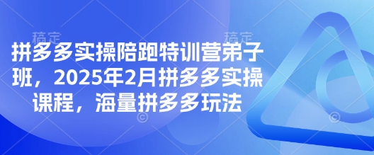 拼多多实操陪跑特训营弟子班,2025年2月拼多多实操课程,海量拼多多玩法插图 拼多多实操陪跑特训营弟子班,2025年2月拼多多实操课程,海量拼多多玩法