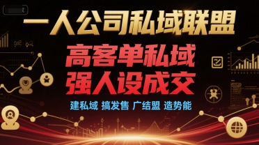一人公司私域联盟,高客单私域,强人设成交,建私域 搞发售 广结盟 造势能插图 一人公司私域联盟,高客单私域,强人设成交,建私域 搞发售 广结盟 造势能