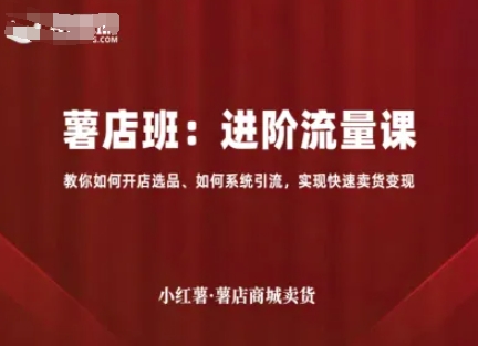 小红薯薯店商城卖货,进阶流量课,教你如何开店选品、如何系统引流,实现快速卖货变现插图 小红薯薯店商城卖货,进阶流量课,教你如何开店选品、如何系统引流,实现快速卖货变现