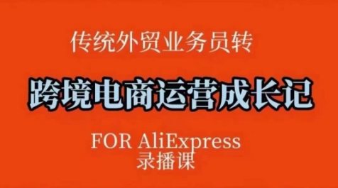 跨境电商速卖通运营课,运营方法论+后台实操,逻辑清晰插图 跨境电商速卖通运营课,运营方法论+后台实操,逻辑清晰