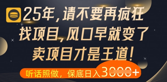 什么?25年你还在疯狂找项目做,醒醒吧,看完这些你全都懂了【揭秘】插图 什么?25年你还在疯狂找项目做,醒醒吧,看完这些你全都懂了【揭秘】