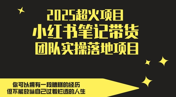 2025超火项目,副业最佳选择,小红书笔记带货团队实操落地项目,,轻松日入5张插图 2025超火项目,副业最佳选择,小红书笔记带货团队实操落地项目,,轻松日入5张