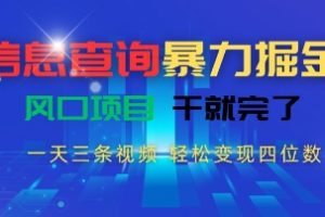 信息查询暴力掘金，一天三条视频，轻松变现四位数，风口项目干就完了【揭秘】