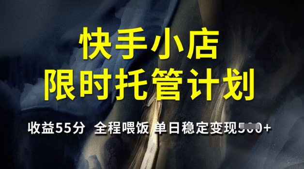 快手小店限时托管计划,收益55分,全程喂饭,单日稳定变现5张【揭秘】插图 快手小店限时托管计划,收益55分,全程喂饭,单日稳定变现5张【揭秘】
