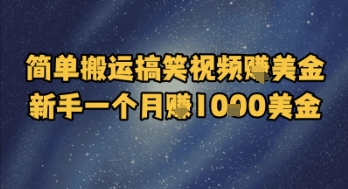 简单搬运搞笑视频挣美金,新手一个月入1k美金插图 简单搬运搞笑视频挣美金,新手一个月入1k美金