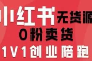 小红书无货源0粉电商课，开店准备、选品策略、笔记撰写、视频剪辑、数据分析、账号打造、资料文档