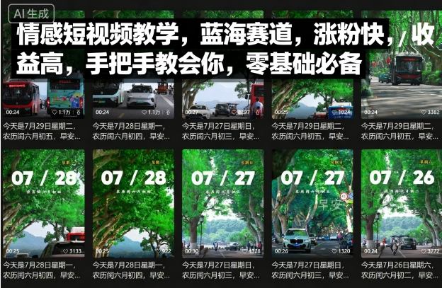 情感短视频教学,蓝海赛道,涨粉快,收益高,手把手教会你,零基础必备插图 情感短视频教学,蓝海赛道,涨粉快,收益高,手把手教会你,零基础必备