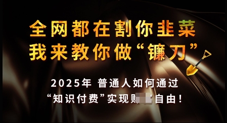知识付费如何做到月入过W+,2025我来教你做“镰刀”【揭秘】插图 知识付费如何做到月入过W+,2025我来教你做“镰刀”【揭秘】