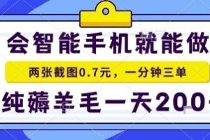 手机项目，二十秒一单，纯薅羊毛一天2张+做就有【揭秘】