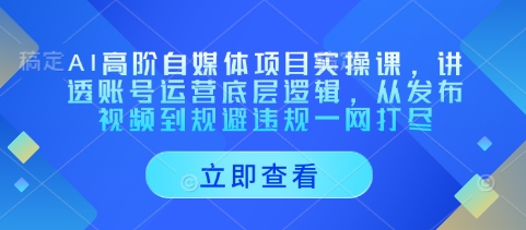 AI高阶自媒体项目实操课,讲透账号运营底层逻辑,从发布视频到规避违规一网打尽插图 AI高阶自媒体项目实操课,讲透账号运营底层逻辑,从发布视频到规避违规一网打尽