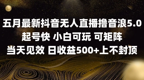 2025五月最新无人直播撸音浪单日产出5张+实操教程【揭秘】插图 2025五月最新无人直播撸音浪单日产出5张+实操教程【揭秘】