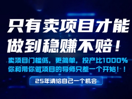 只有卖项目才能做到稳挣不赔,门槛低,更简单,你也可以年入百个W【揭秘】插图 只有卖项目才能做到稳挣不赔,门槛低,更简单,你也可以年入百个W【揭秘】