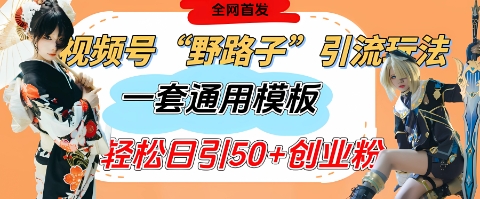 视频号“野路子”玩法,评论区疯狂截流,一套模板单日单号引流50+创业粉插图 视频号“野路子”玩法,评论区疯狂截流,一套模板单日单号引流50+创业粉