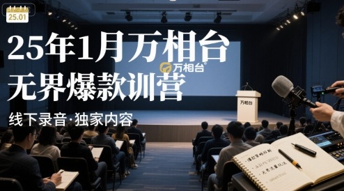 25年1月万相台无界爆款特训营线下录音插图 25年1月万相台无界爆款特训营线下录音