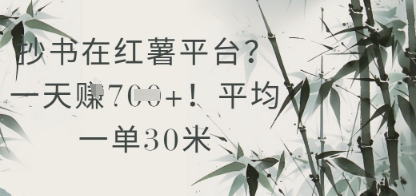 抄书在小红薯平台?平均一单30米,一天收益几张!插图 抄书在小红薯平台?平均一单30米,一天收益几张!