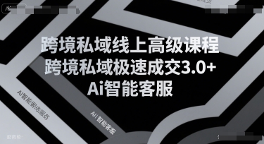 跨境私域线上高级课程,跨境私域极速成交3.0+Ai智能客服插图 跨境私域线上高级课程,跨境私域极速成交3.0+Ai智能客服