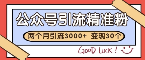公众号精准粉引流玩法,2个月3000+精准粉,变现30个W【揭秘】插图 公众号精准粉引流玩法,2个月3000+精准粉,变现30个W【揭秘】