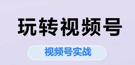 玩转视频号,视频号实战系列课插图 玩转视频号,视频号实战系列课