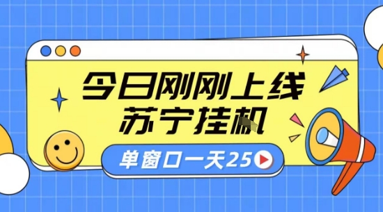 苏宁全自动采集挂G项目 稳定可批量 单窗口收益30+ 附教程【揭秘】插图 苏宁全自动采集挂G项目 稳定可批量 单窗口收益30+ 附教程【揭秘】