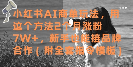 小红书AI商单玩法,用这个方法2个月涨粉7W+,新手也能接品牌合作(附全套指令模板)插图 小红书AI商单玩法,用这个方法2个月涨粉7W+,新手也能接品牌合作(附全套指令模板)