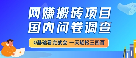 网创搬砖项目,国内问卷调查,小白轻松上手,一天三四张的也不难,干就完了【揭秘】插图 网创搬砖项目,国内问卷调查,小白轻松上手,一天三四张的也不难,干就完了【揭秘】