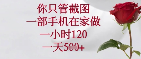 你只管截图,一部手机在家操作,一小时120.一天5张【揭秘】插图 你只管截图,一部手机在家操作,一小时120.一天5张【揭秘】