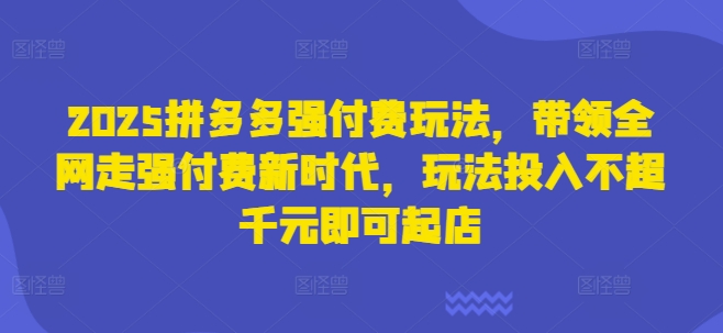 2025拼多多强付费玩法,带领全网走强付费新时代,玩法投入不超千元即可起店插图 2025拼多多强付费玩法,带领全网走强付费新时代,玩法投入不超千元即可起店