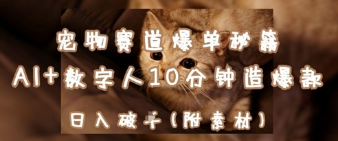 宠物赛道爆单秘籍:AI+数字人10分钟造爆款,日入1k插图 宠物赛道爆单秘籍:AI+数字人10分钟造爆款,日入1k