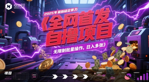 全网首发,2025年最新稳定暴力全自动自撸项目,无限制批量操作,日入多张【揭秘】插图 全网首发,2025年最新稳定暴力全自动自撸项目,无限制批量操作,日入多张【揭秘】