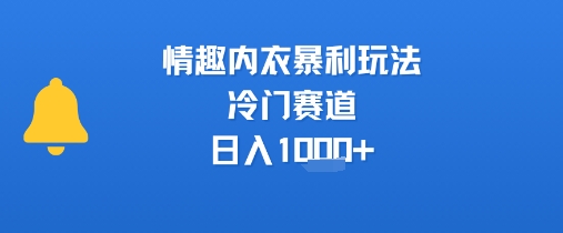 情趣内衣暴利玩法,冷门赛道,日入1k+插图 情趣内衣暴利玩法,冷门赛道,日入1k+