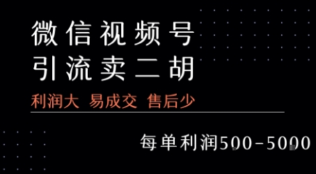 视频号卖二胡教程,利润大 易成交 售后少,一单利润5张+插图 视频号卖二胡教程,利润大 易成交 售后少,一单利润5张+